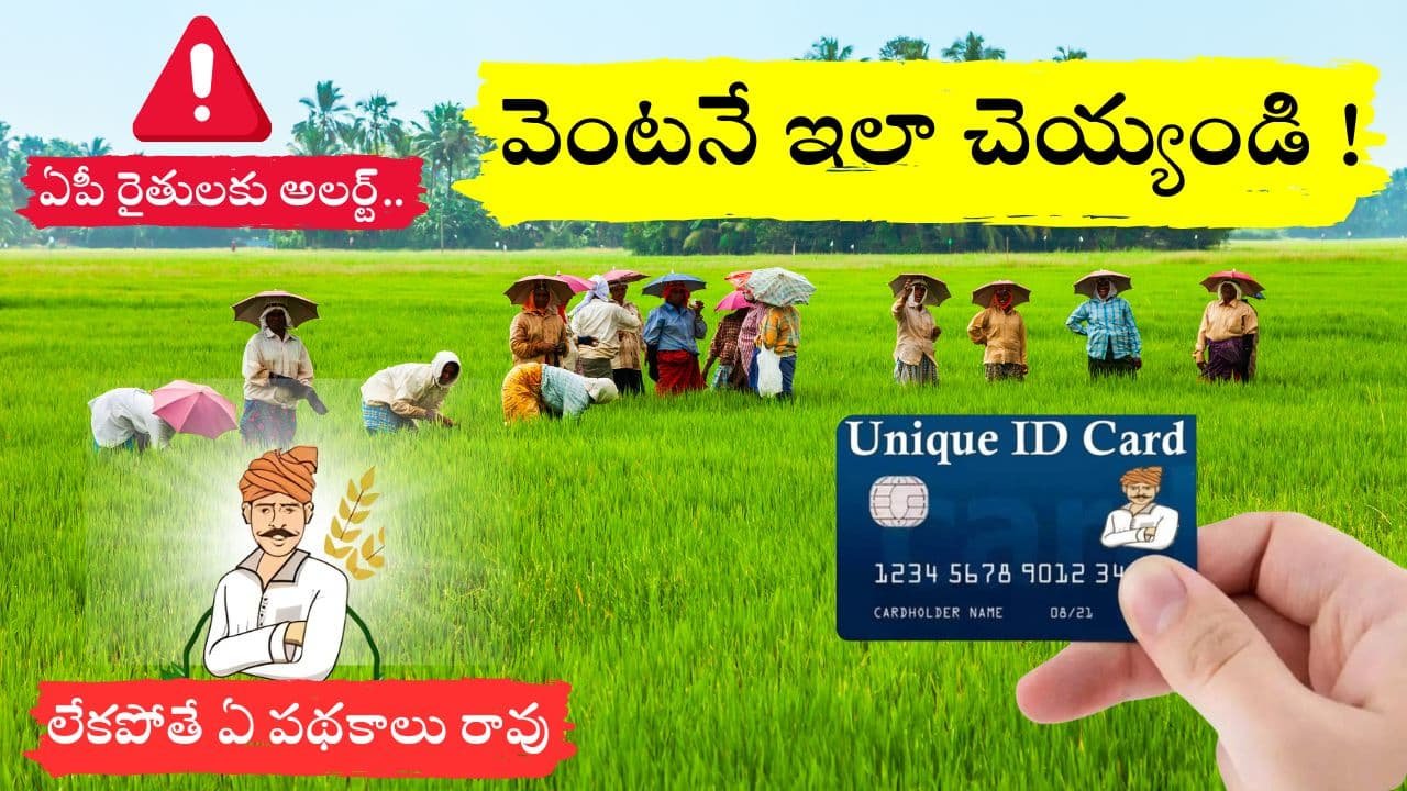 Farmer Registration Process A farmer holding a smartphone in a green field, symbolizing digital registration for Andhra Pradesh farmers under the Unique Identification Number initiative