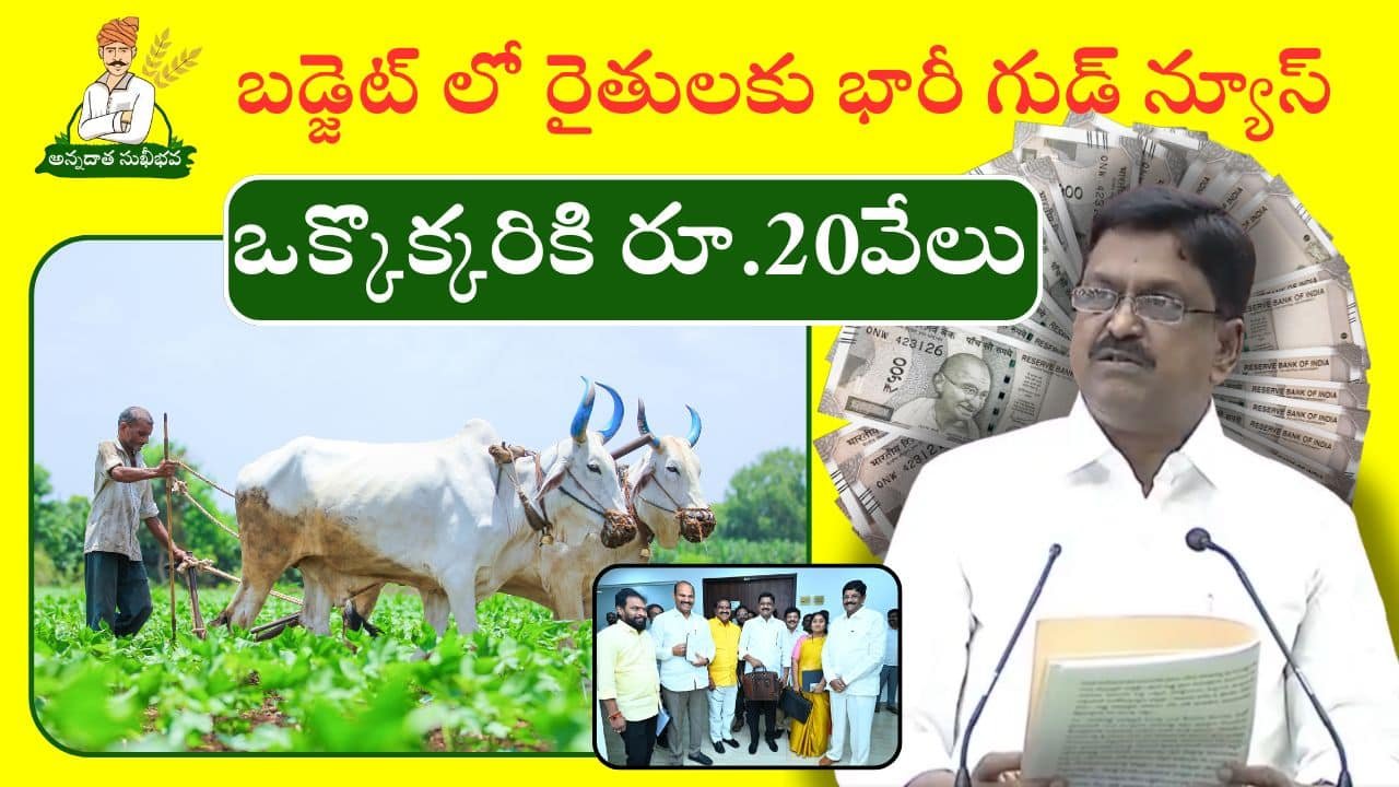 Key Statement ABout Annadata Sukhibhava Scheme In Ap Budget 2025