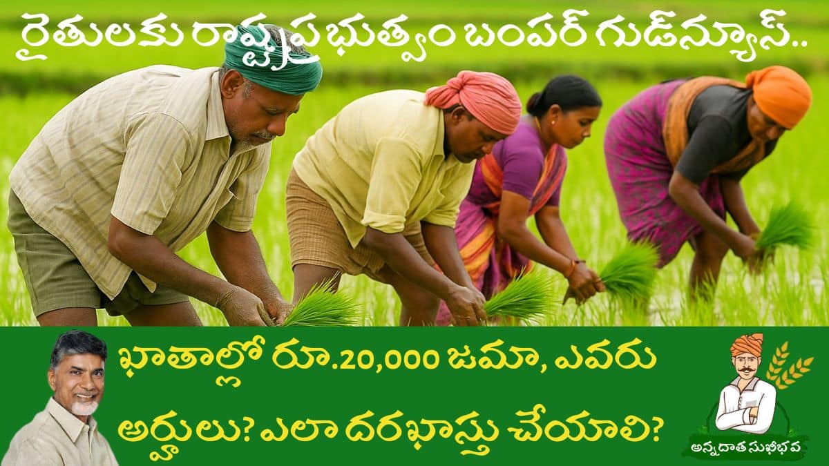 Annadata Sukhibhava Status Check Link Pm Kisan Benefits