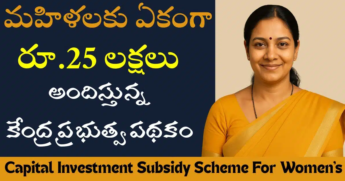 Capital Investment Subsidy Scheme For Women's