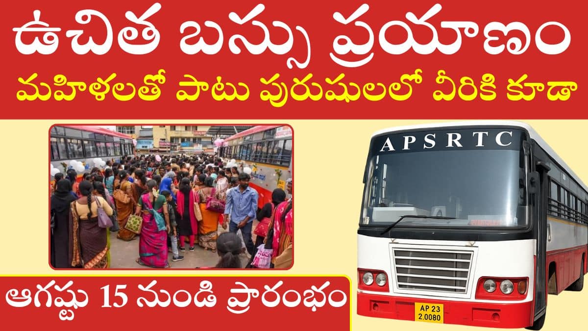 AP Free Bus Scheme 2025
