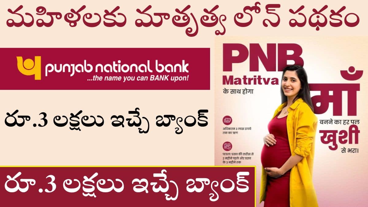 PNB Maternity Loan