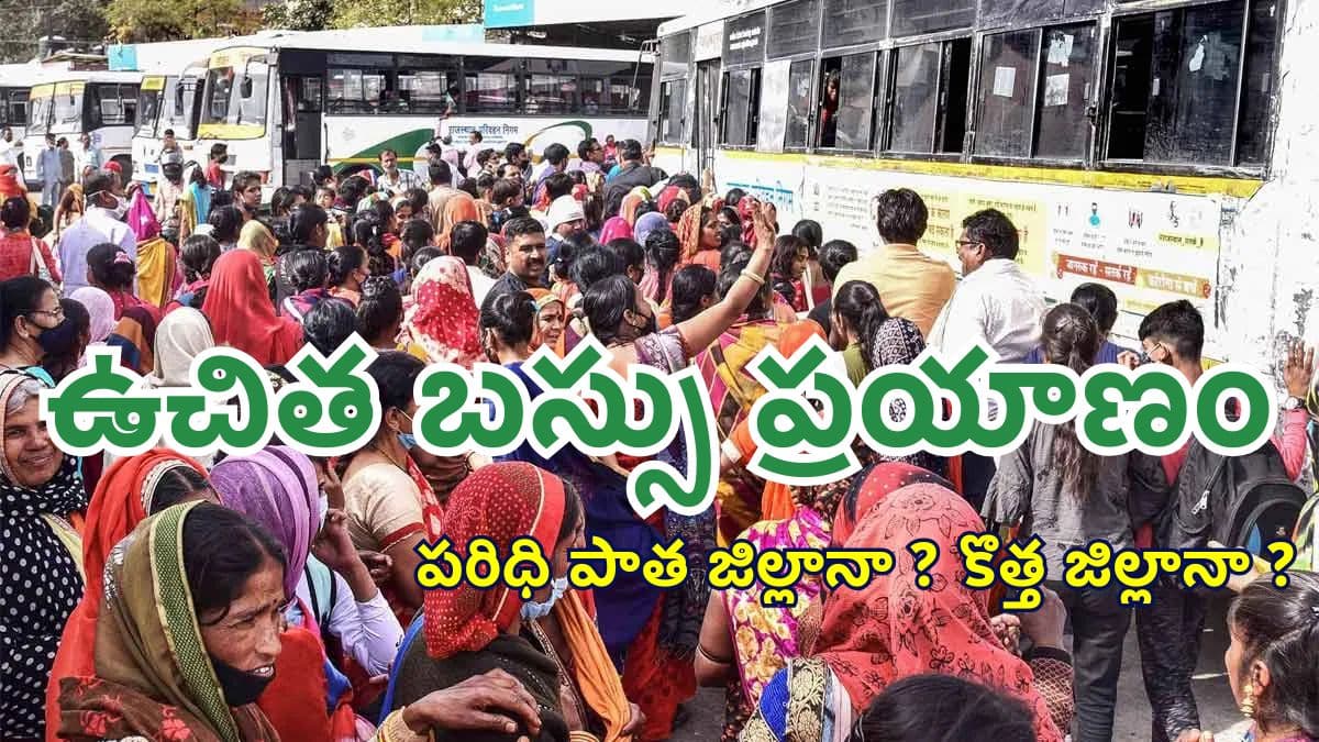 Free Travel Scheme Latest Update 2025
